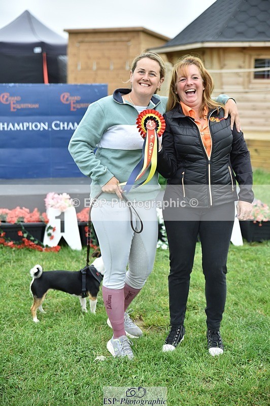 240831A-163344-05217 - 80 Presentations