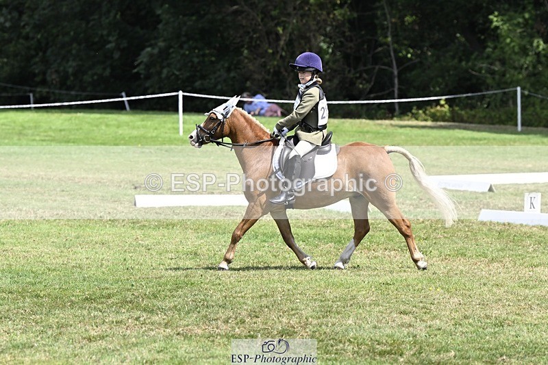 250822A-122134-22721 - DR 11.00 to 12.00