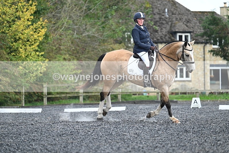 WJ7_4556 - Time 11:43 to 12:09