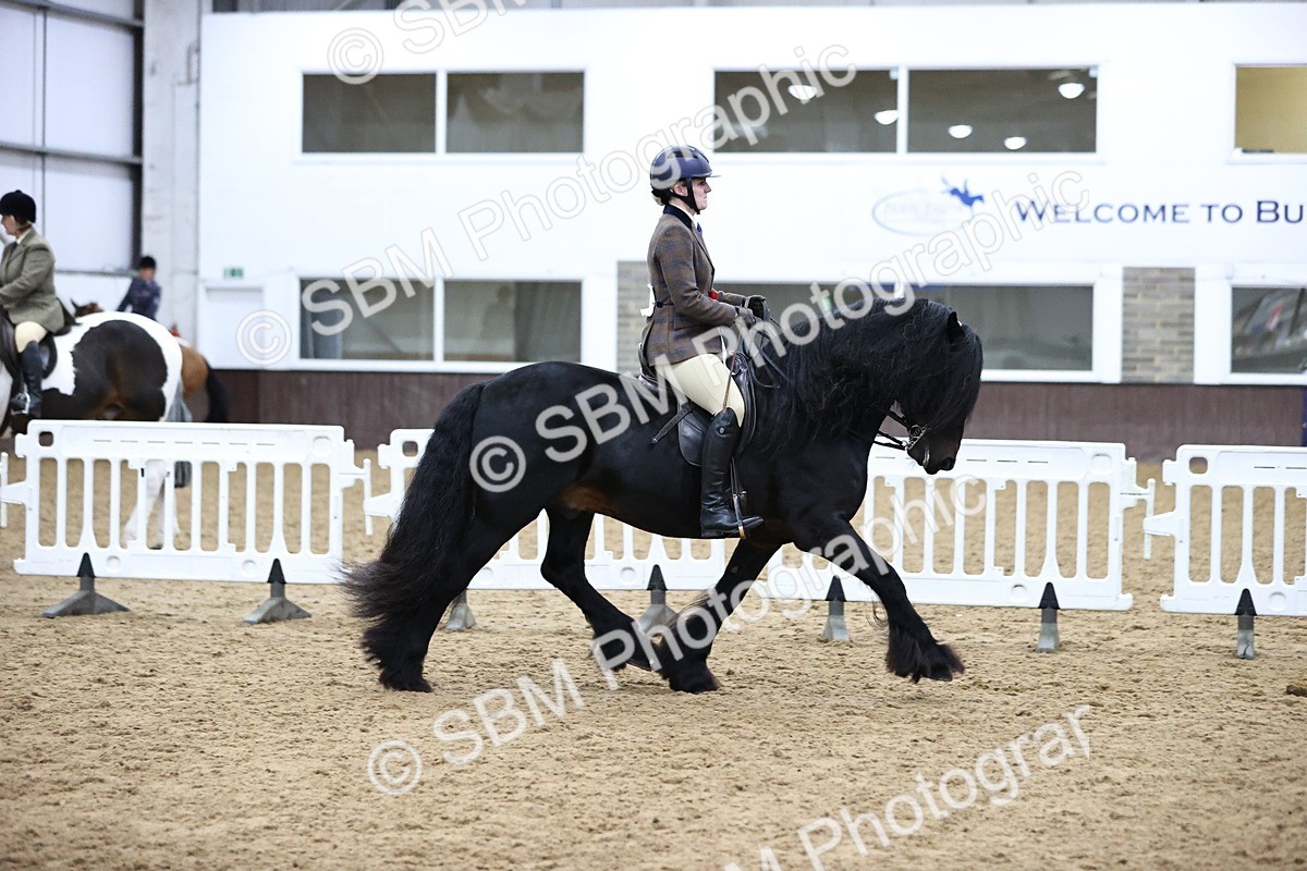 SBM_6563 - Class 43 - Ridden Native Breeds
