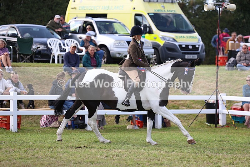 3E7A3861 - Supreme Championship