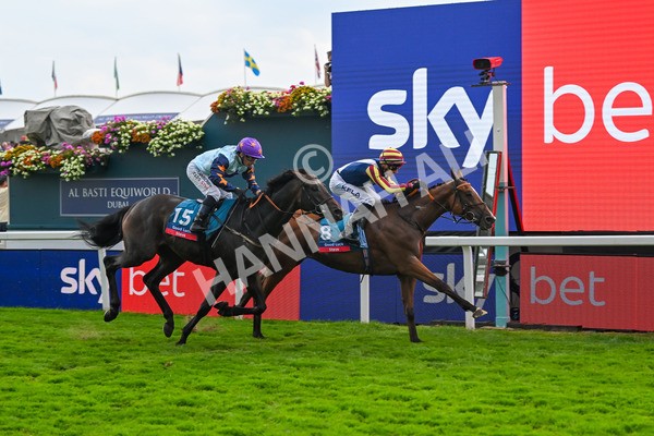 230825-Race 7-Dain Ma Nut In-0938 - Race 7 5.20pm Sky Bet Steve Birch Finale Handicap