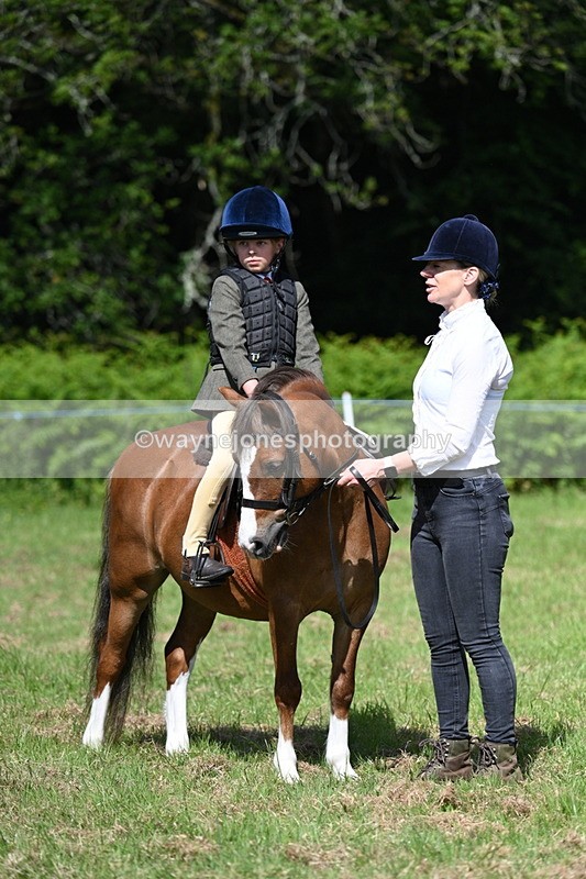 WJ7_0780 - Class 8 First Rally Pony