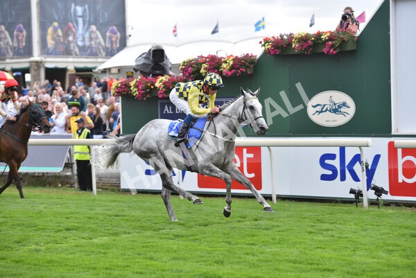 yr17082022r5-50 - Race 5 4.10pm Sky Bet Stayers Stakes