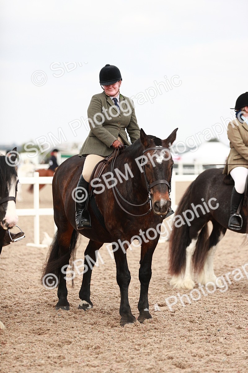 SBM_16763 - Class 214 Ridden Cob