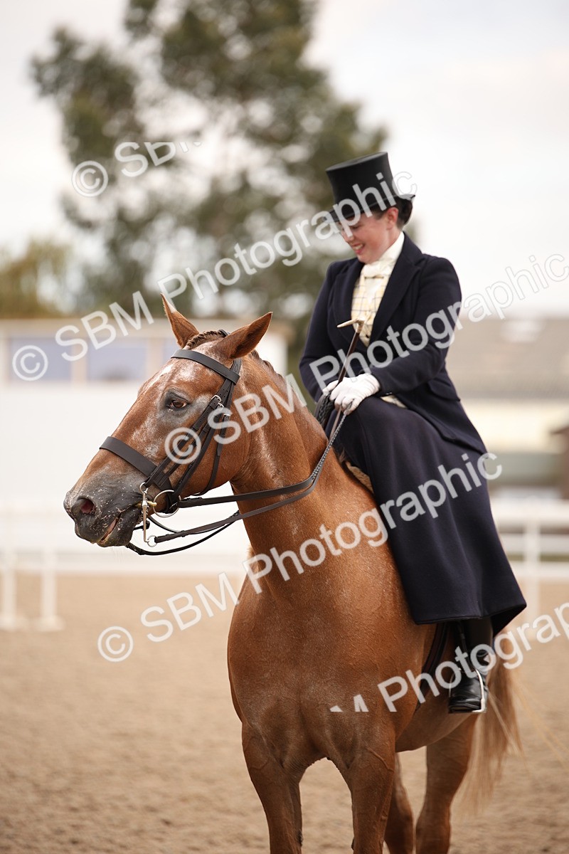 SBM_05382 - Class 22 SSA Equitation