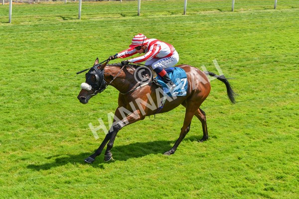 160623-Race 1-Menelaus-6154 - Race 1 1.50pm Andy Thornton Hospitality Furniture Apprentice Handicap