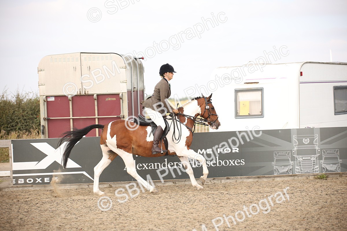 SBM_17169 - Class 409b - Working Veteran 80cm (20+)