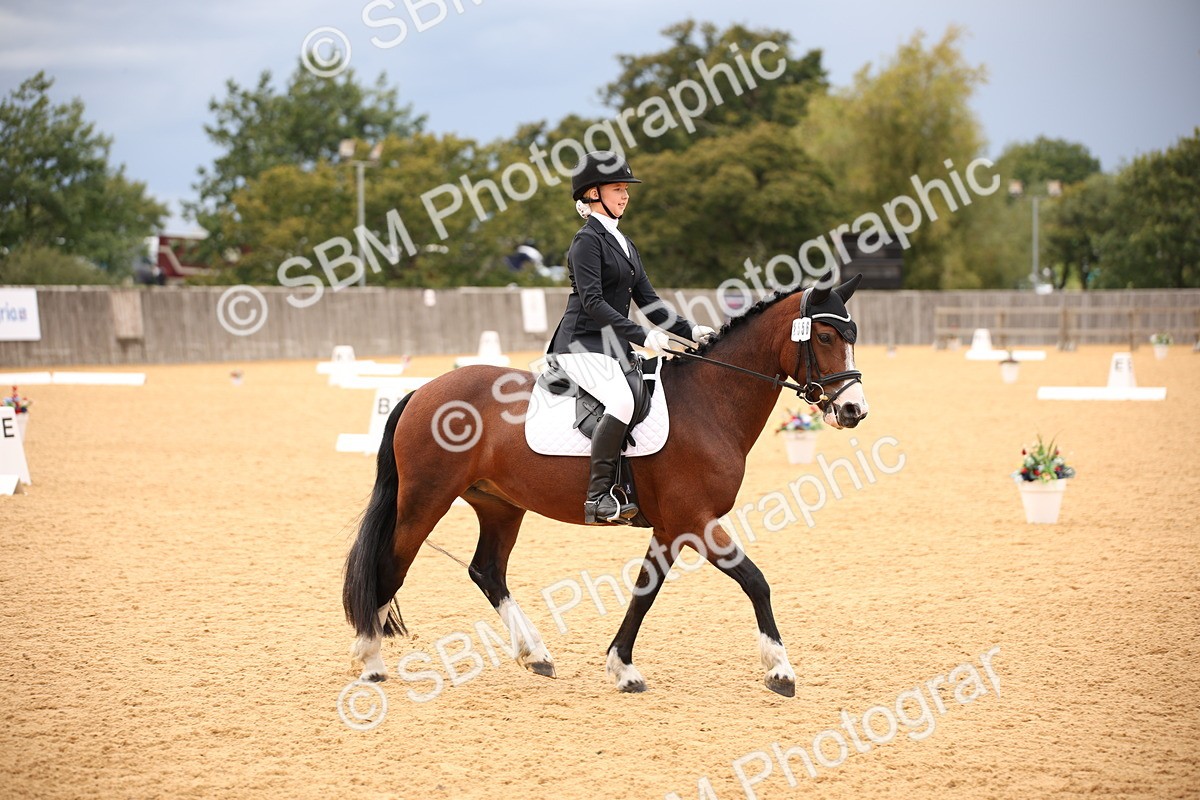 SBM_12226 - D3 Small  Tour Championship Intro A