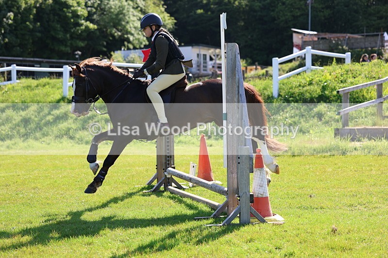 3E7A5942 - Class 27: Novice Working Hunter Pony
