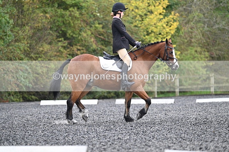 WJ7_3942 - Time 11:04 to 11:38