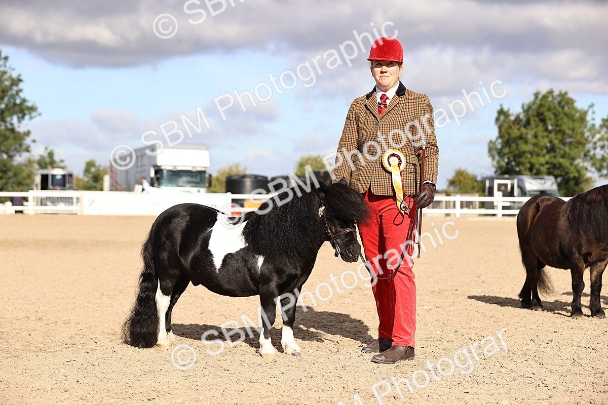 SBM_08544 - Class 402 - IH Veteran Pony