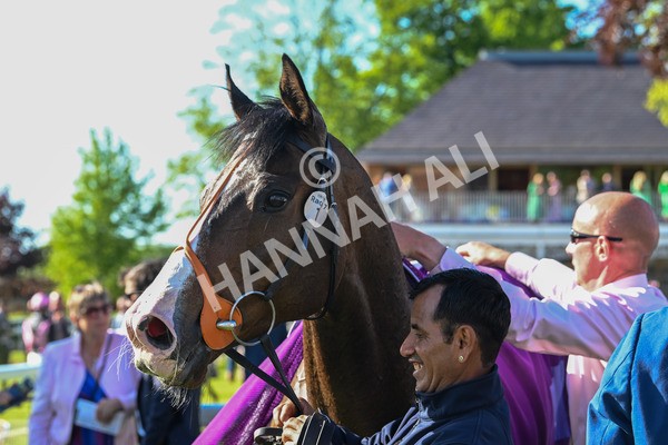 140525-Race 7-Great Bedwyn-3182 - Race 7 5.25pm Stuey Weston & Friends Getting Out Handicap