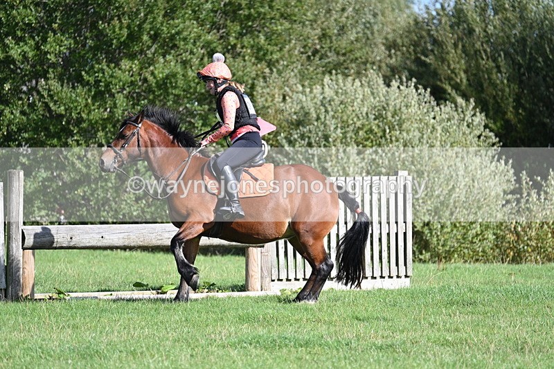 WJ7_1321 - Time 13:56 to 14:24