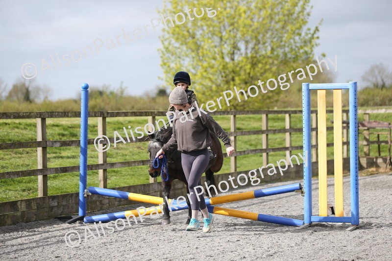 20260412-0122 - Show Jumping