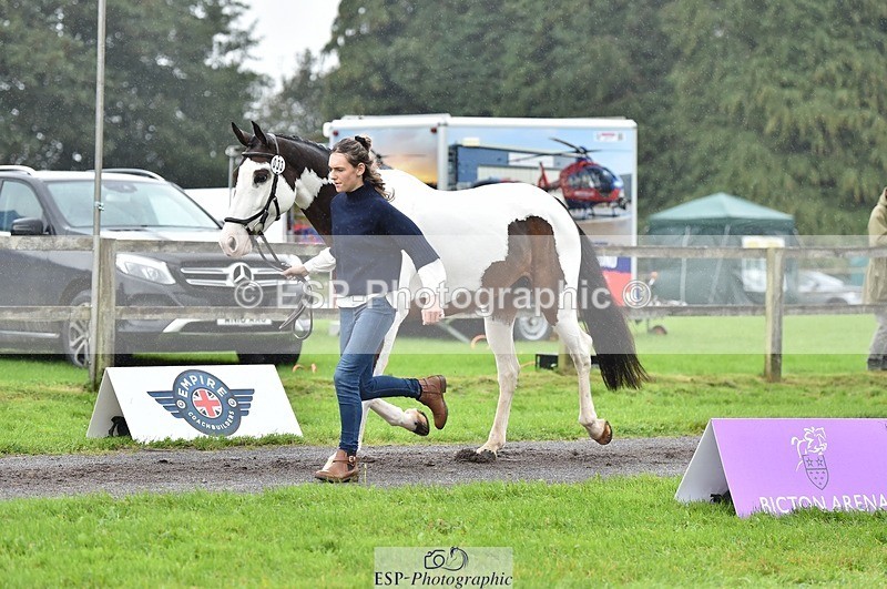 231018-122412-00263 - 033-COUNTRY.TIGER.LILLY-Milla.Read-TrotUp