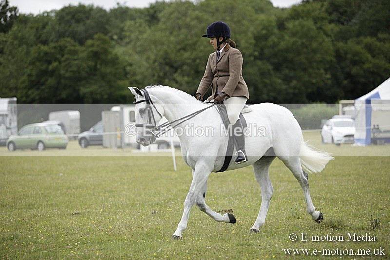 BVR160717-838 - Ring 1 BVRC Show 16/07/17