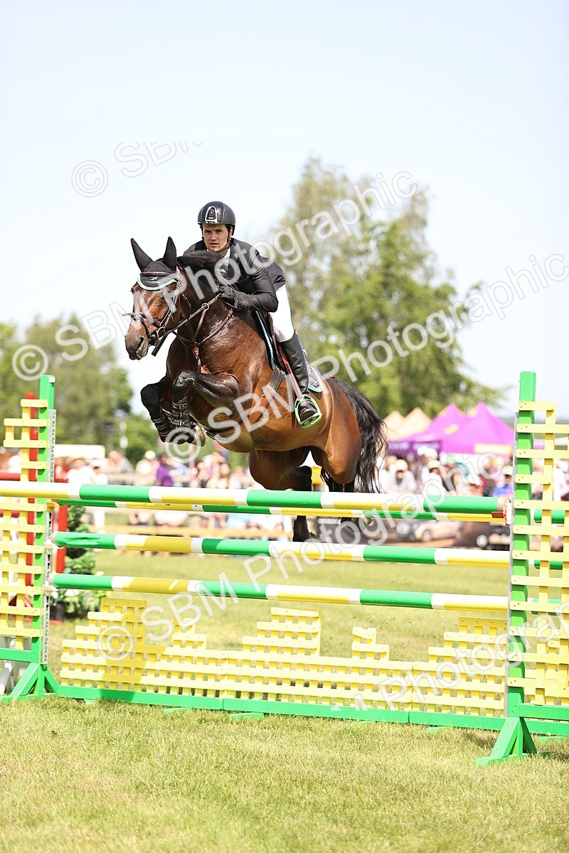 SBM_03992 - Class 201 - British Horse Feedds Speedi Beet HOYS Grade C