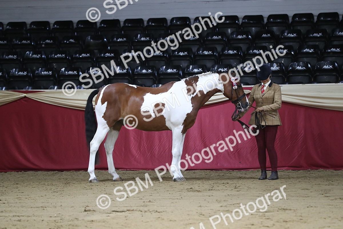 SBM_04986 - Class 8R- Regional -IH Veteran