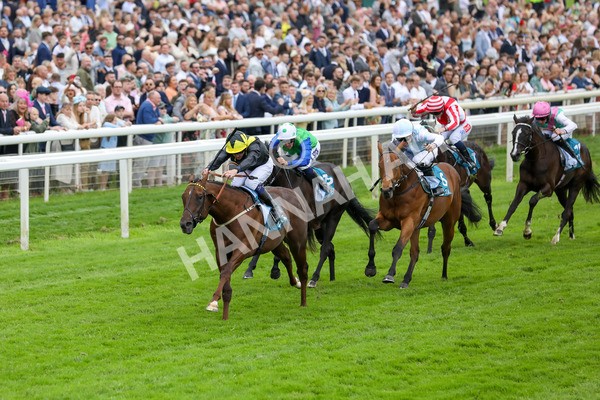 250524-Race 2-Arabie-3014 - Race 2 2.10pm Reg Bond 'Always And Forever' EBF Restricted Novice Stakes