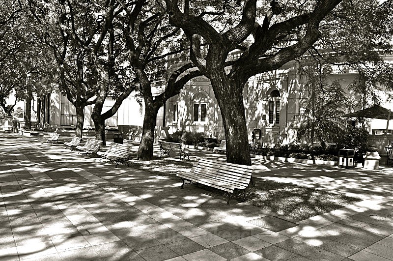  - Black and White