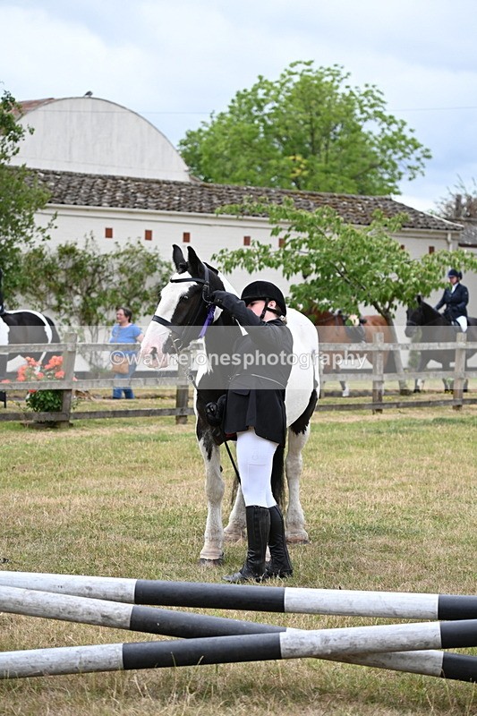 WJ6_4511 - Class 10 Coloured In-hand