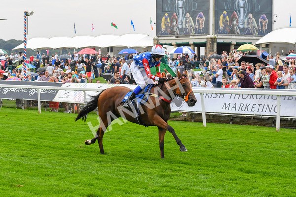 100923-Pony Race 1-Seal The Deal-0095 - Pony Race 1 12.25 The Dragon (TV and Film) Studios Pony Race 148cm & Under