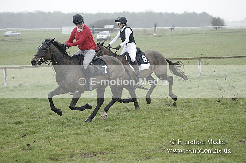 PtP 150320 0029 - New Forest Point-to-Point Larkhill 15/03/20
