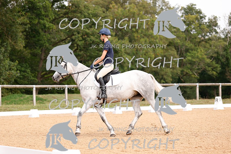 _R6A2709 - Dressage Morning
