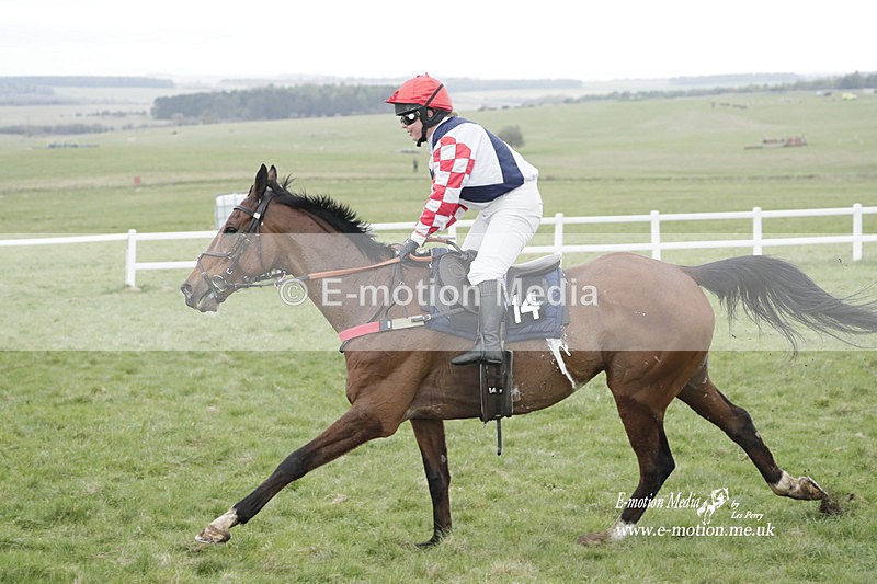 PtP 260323 0596 - New Forest Hounds Point-to-Point Larkhill 26/03/23