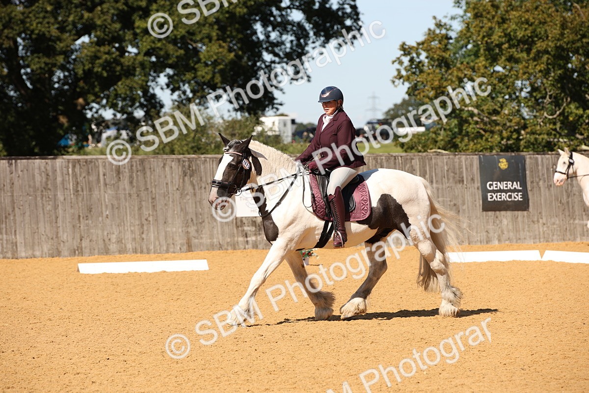 SBM_21667 - D5 - Small Tour Championship - Intro C