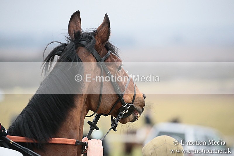PtP 170219 -51 - Combined Services Point-To-Point Larkhill 17/02/19