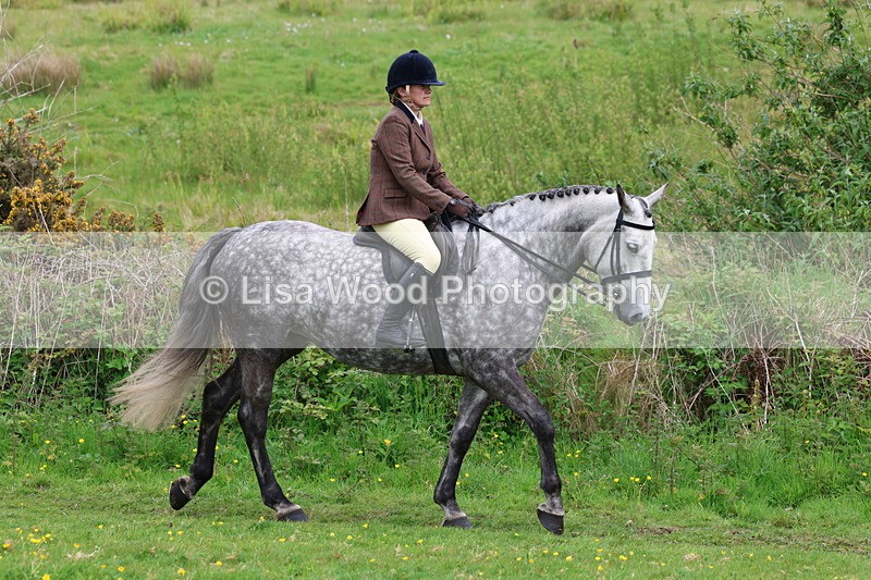 3E7A1662 - Class 9: Riding Club Horse/Pony