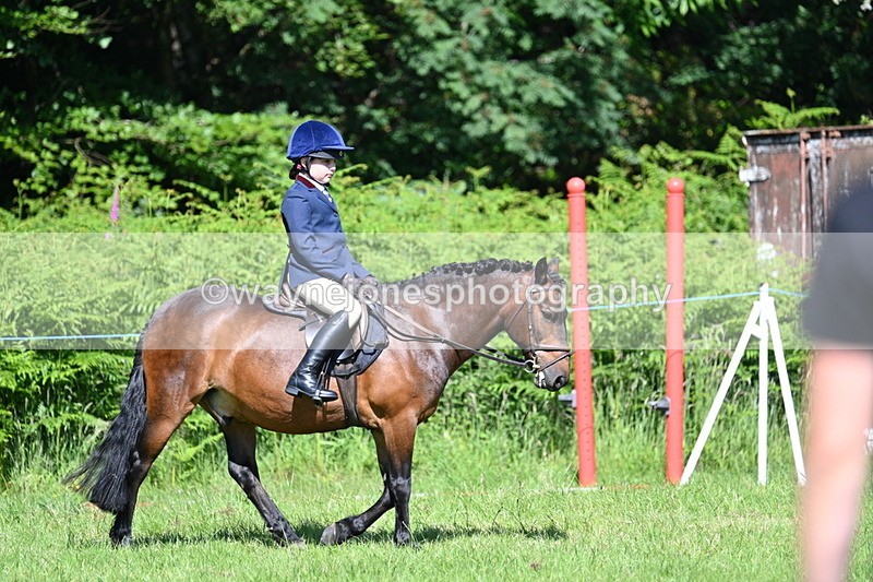 WJ7_0658 - Class 8 First Rally Pony