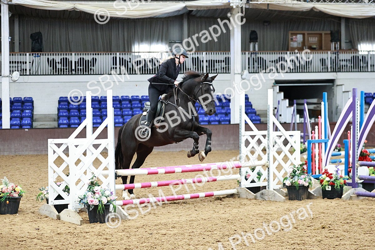 SBM_000201 - Class 1 - Clear Round Show Jumping 80cm
