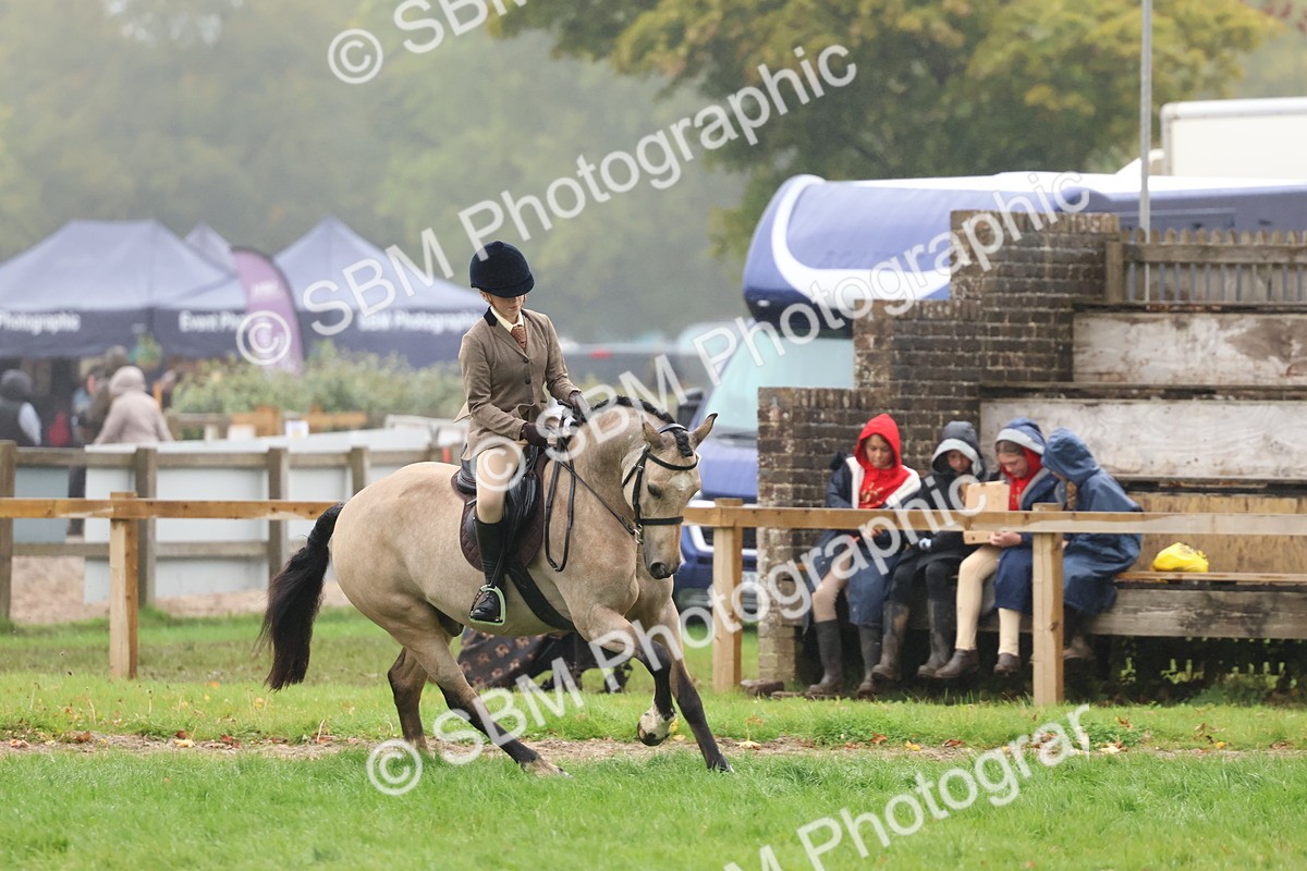 SBM_73061 - S63 Show Pony & Show Hunter Pony Ridden