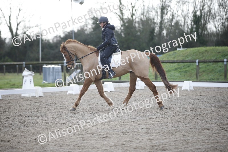 20260127-0331 - Class 16 - BD Novice 2