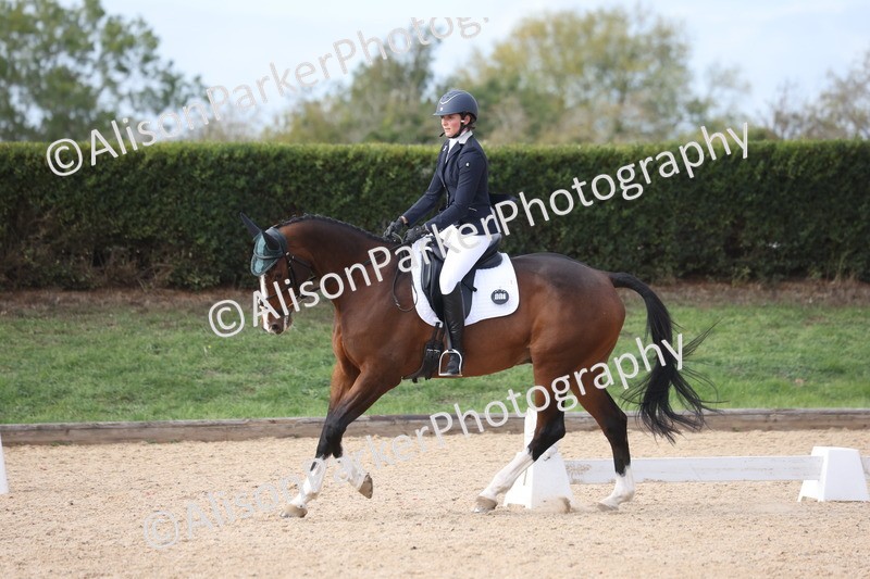 20261010-0681 - Class 6 - Novice 2
