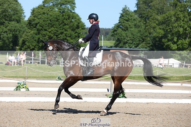 230526-094450-05154 - 357-VIVENDI_HERO-Saffron_Cresswell-WEDTrotUp+DR