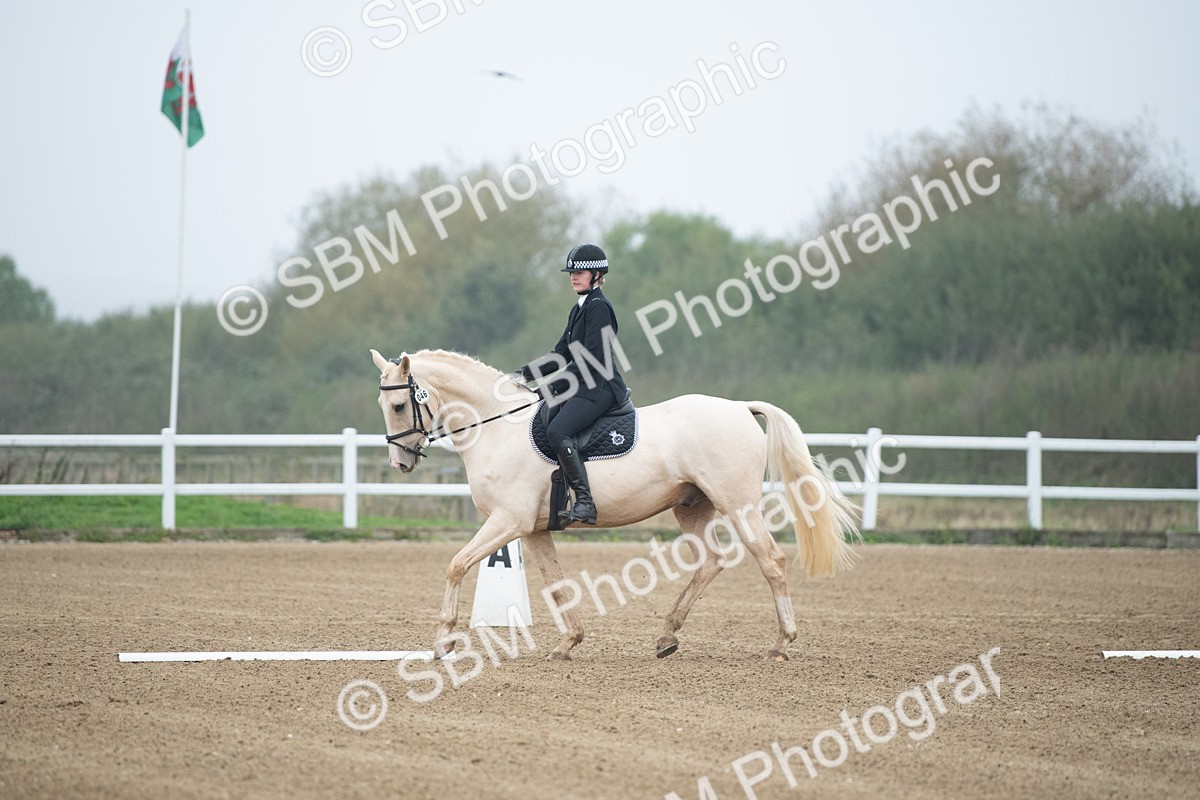 SBM_003345 - Introductory Test 3