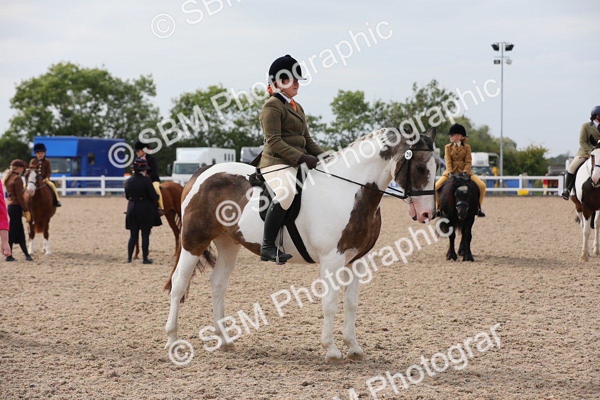 SBM_16980 - Class 314 Family Horse/Pony