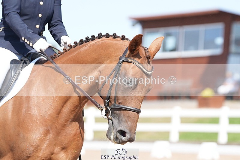 250817-144847-10757 - 104-LOOBY.CHUBBRun.the.risk