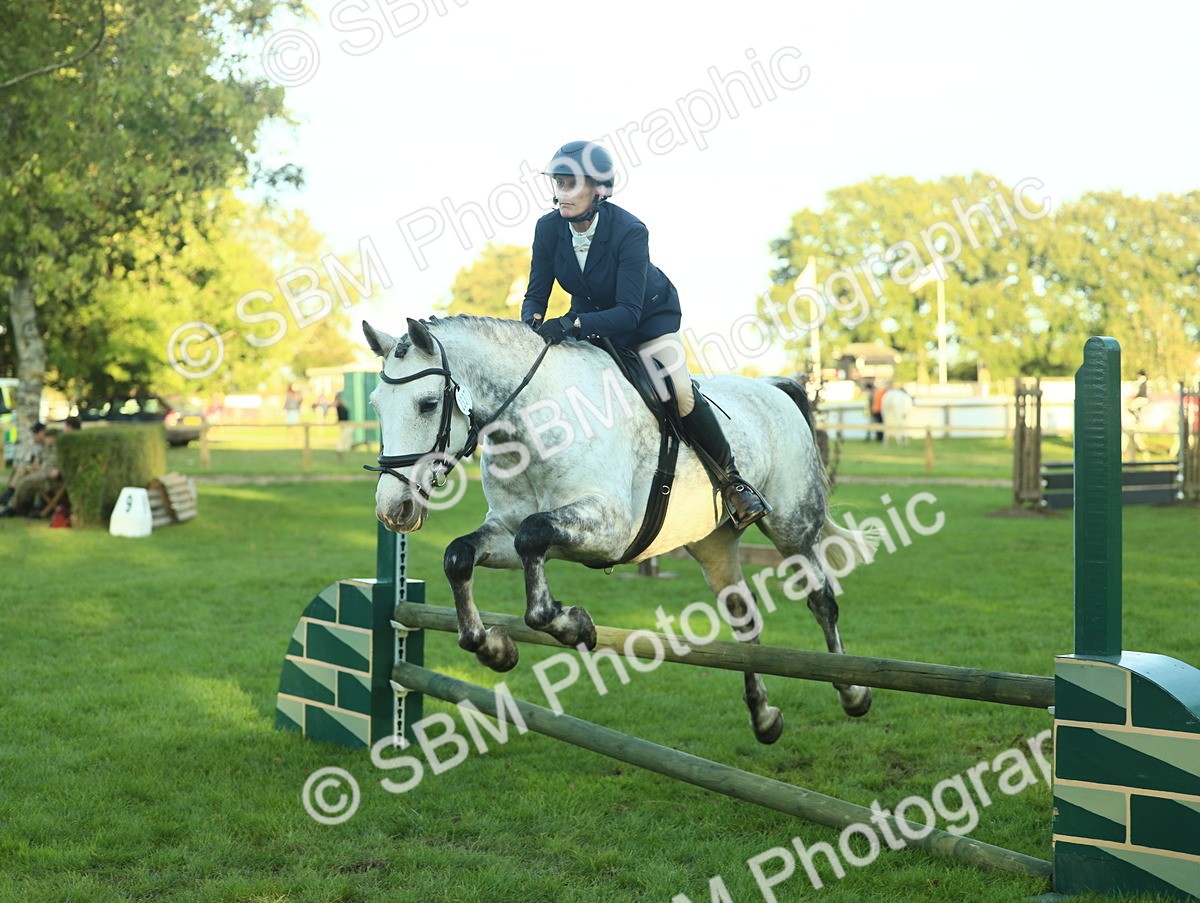 SBM_55599 - S14 - Riding Club Horse