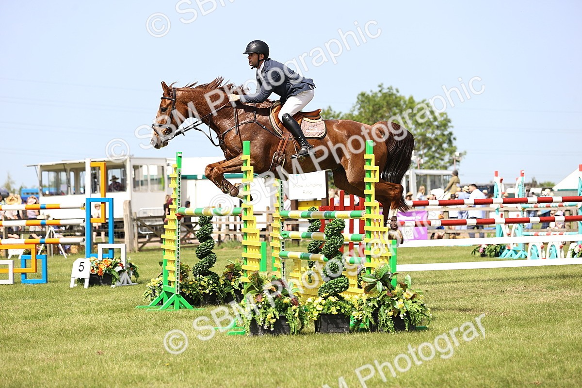 SBM_03286 - Class 201 - British Horse Feedds Speedi Beet HOYS Grade C