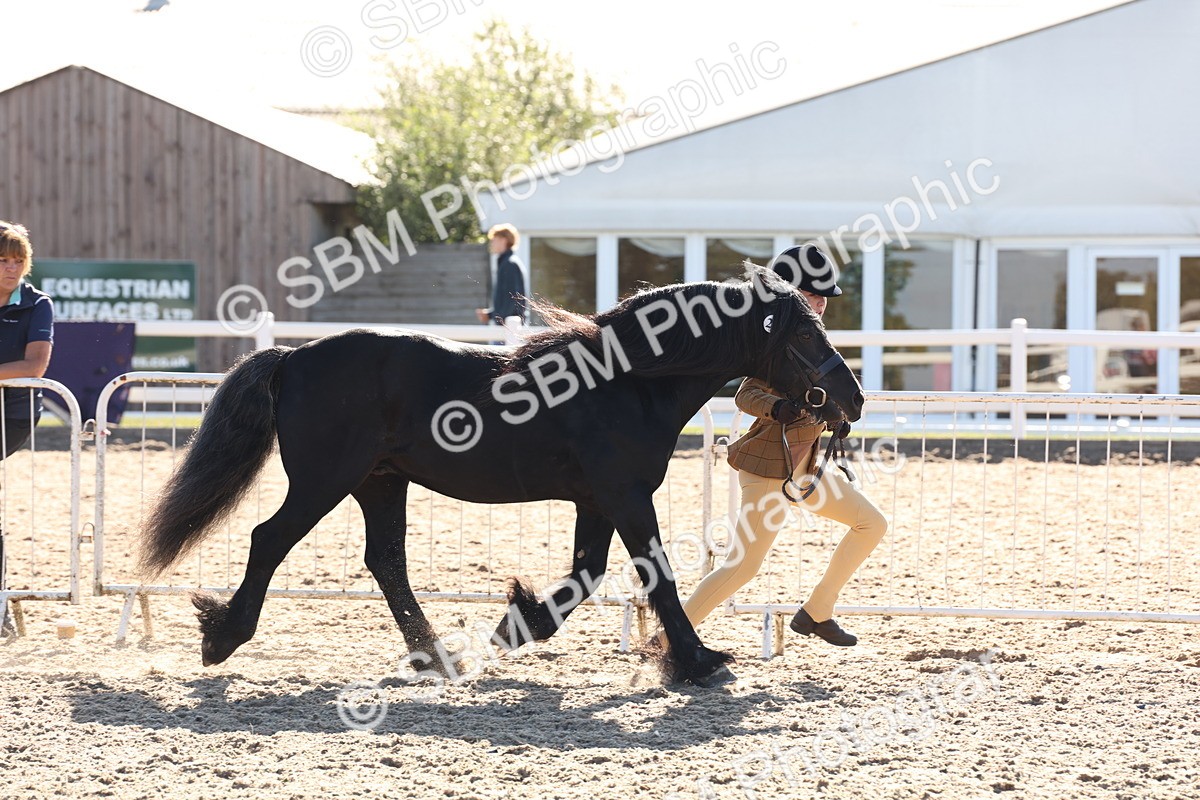 SBM_11718 - Class 204 - Young Handler 11 to 16 years