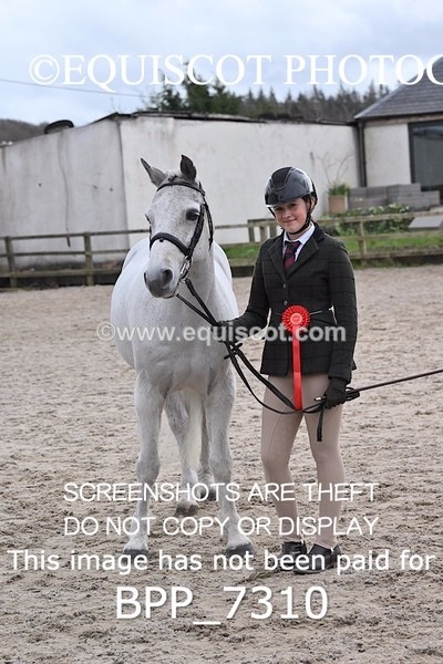 BPP_7310 - RING 1  (RIDDEN HORSES / IN HAND / VETERAN ETC)