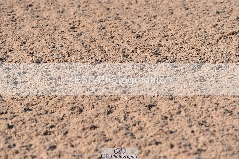 230720A-091018-01311 - Cls 25, 5 Yr Olds 1.10m