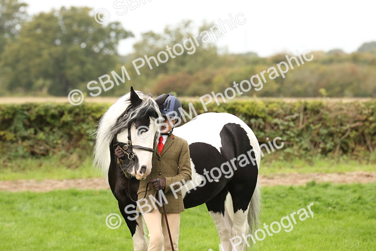 SBM_59342 - S57 - Traditional Cob In Hand
