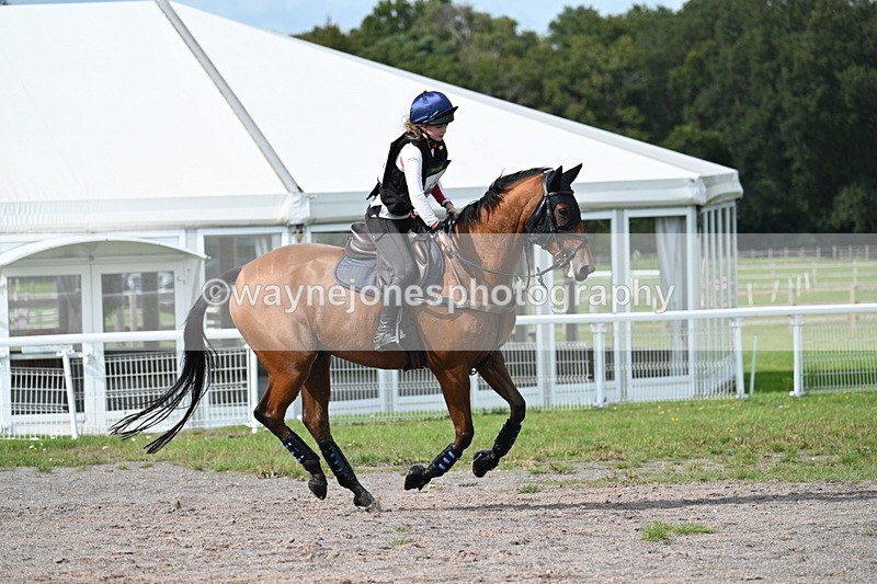 WJ7_2582 - Time 13:55 to 14:05