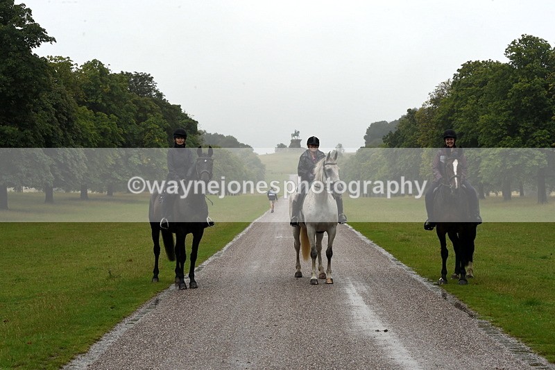 TT3_8552 - Time at Crossing 11:44 to 12:54